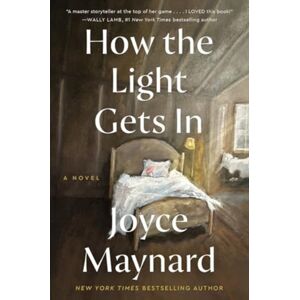 HarperCollins Publishers Inc How The Light Gets In : A Novel HarperCollins Publishers Inc How The Light Gets In : A Novel