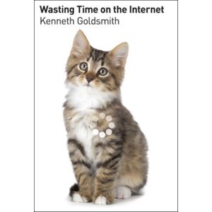 HarperCollins Publishers Inc Wasting Time On The Internet HarperCollins Publishers Inc Wasting Time On The Internet