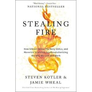 HarperCollins Publishers Inc Stealing Fire : How Silicon Valley, The Navy Seals, And Maverick Scientists Are Revolutionizing The Way We Live And Work HarperCollins Publishers Inc Stealing Fire : How Silicon Valley, The Navy Seals, And Maverick Scientists Are Revolutionizing The Way We Live And Work