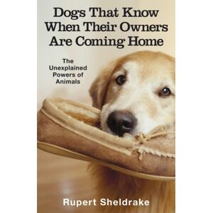 Cornerstone Dogs That Know When Their Owners Are Coming Home : And Other Unexplained Powers Of Animals Cornerstone Dogs That Know When Their Owners Are Coming Home : And Other Unexplained Powers Of Animals