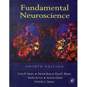 Elsevier Science Publishing Co Inc Fundamental Neuroscience Elsevier Science Publishing Co Inc Fundamental Neuroscience