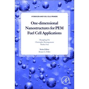 Elsevier Science Publishing Co Inc One-Dimensional Nanostructures For Pem Fuel Cell Applications Elsevier Science Publishing Co Inc One-Dimensional Nanostructures For Pem Fuel Cell Applications