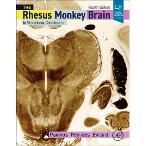 Elsevier Science Publishing Co Inc The Rhesus Monkey Brain In Stereotaxic Coordinates Elsevier Science Publishing Co Inc The Rhesus Monkey Brain In Stereotaxic Coordinates