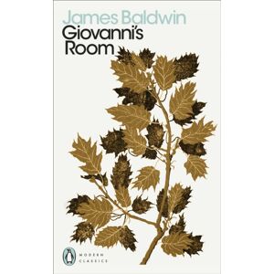 Penguin Books Ltd Giovanni'S Room Penguin Books Ltd Giovanni'S Room