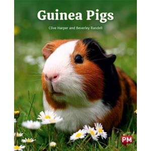 SCHOLASTIC LTD Guinea Pigs SCHOLASTIC LTD Guinea Pigs