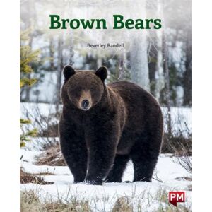 SCHOLASTIC LTD Brown Bears SCHOLASTIC LTD Brown Bears