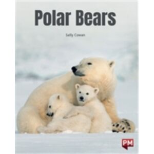 SCHOLASTIC LTD Polar Bears SCHOLASTIC LTD Polar Bears
