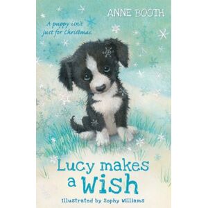 Oxford University Press Lucy Makes A Wish Oxford University Press Lucy Makes A Wish