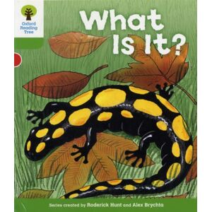 Oxford University Press Oxford Reading Tree: Level 2: More Patterned Stories A: What Is It? Oxford University Press Oxford Reading Tree: Level 2: More Patterned Stories A: What Is It?