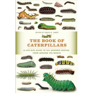 The University of Chicago Press The Book Of Caterpillars : A Life-Size Guide To Six Hundred Species From Around The World The University of Chicago Press The Book Of Caterpillars : A Life-Size Guide To Six Hundred Species From Around The World