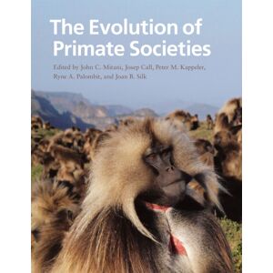 The University of Chicago Press The Evolution Of Primate Societies The University of Chicago Press The Evolution Of Primate Societies