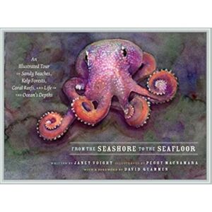 The University of Chicago Press From The Seashore To The Seafloor : An Illustrated Tour Of Sandy Beaches, Kelp Forests, Coral Reefs, And Life In The Ocean'S Depths The University of Chicago Press From The Seashore To The Seafloor : An Illustrated Tour Of Sandy Beaches, Kelp Forests, Coral Reefs, And Life In The Ocean'S Depths