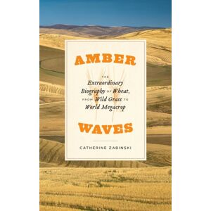 The University of Chicago Press Amber Waves : The Biography Of Wheat, From Wild Grass To World Megacrop The University of Chicago Press Amber Waves : The Biography Of Wheat, From Wild Grass To World Megacrop