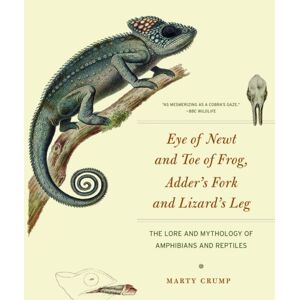 The University of Chicago Press Eye Of t And Toe Of Frog, Adder'S Fork And Lizard'S Leg : The Lore And Mythology Of Amphibians And Reptiles The University of Chicago Press Eye Of t And Toe Of Frog, Adder'S Fork And Lizard'S Leg : The Lore And Mythology Of Amphibians And Reptiles