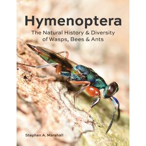 Firefly Books Ltd Hymenoptera : The Natural History And Diversity Of Wasps, Bees And Ants Firefly Books Ltd Hymenoptera : The Natural History And Diversity Of Wasps, Bees And Ants