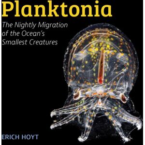 Firefly Books Ltd Planktonia : The Nightly Migration Of The Ocean'S Smallest Creatures Firefly Books Ltd Planktonia : The Nightly Migration Of The Ocean'S Smallest Creatures