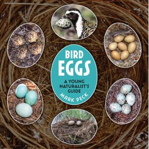 Firefly Books Ltd Bird Eggs : A Young Naturalist'S Guide Firefly Books Ltd Bird Eggs : A Young Naturalist'S Guide