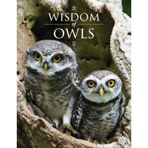 Firefly Books Ltd Wisdom Of Owls Firefly Books Ltd Wisdom Of Owls