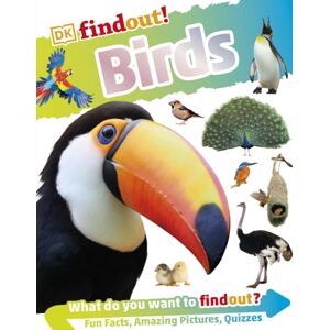 Dorling Kindersley Ltd Dkfindout! Birds Dorling Kindersley Ltd Dkfindout! Birds