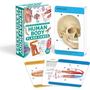 Dorling Kindersley Ltd Our World In Pictures Human Body Flash Cards Dorling Kindersley Ltd Our World In Pictures Human Body Flash Cards