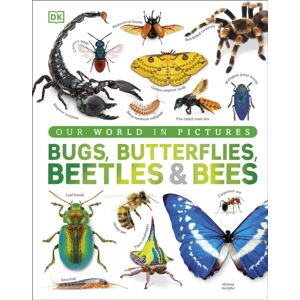 Dorling Kindersley Ltd Our World In Pictures Bugs, Butterflies, Beetles And Bees Dorling Kindersley Ltd Our World In Pictures Bugs, Butterflies, Beetles And Bees