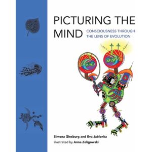 MIT Press Ltd Picturing The Mind MIT Press Ltd Picturing The Mind