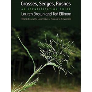 Yale University Press Grasses, Sedges, Rushes : An Identification Guide Yale University Press Grasses, Sedges, Rushes : An Identification Guide
