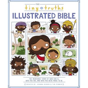 Zondervan The Tiny Truths Illustrated Bible Zondervan The Tiny Truths Illustrated Bible