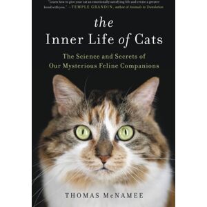 Little, Brown & Company The Inner Life Of Cats : The Science And Secrets Of Our Mysterious Feline Companions Little, Brown & Company The Inner Life Of Cats : The Science And Secrets Of Our Mysterious Feline Companions