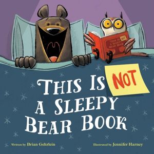 Little, Brown & Company This Is Not A Sleepy Bear Book Little, Brown & Company This Is Not A Sleepy Bear Book