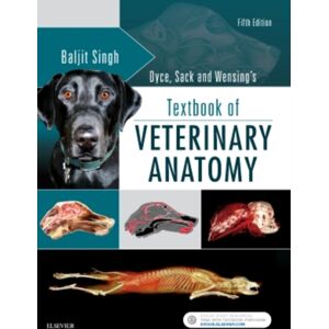 Elsevier - Health Sciences Division Dyce, Sack, And Wensing'S Textbook Of Veterinary Anatomy Elsevier - Health Sciences Division Dyce, Sack, And Wensing'S Textbook Of Veterinary Anatomy