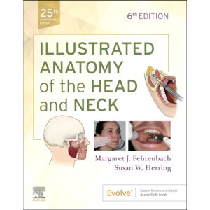 Elsevier - Health Sciences Division Illustrated Anatomy Of The Head And Neck Elsevier - Health Sciences Division Illustrated Anatomy Of The Head And Neck