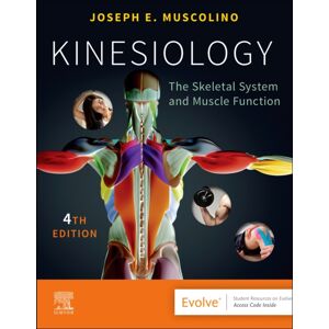 Elsevier - Health Sciences Division Kinesiology : The Skeletal System And Muscle Function Elsevier - Health Sciences Division Kinesiology : The Skeletal System And Muscle Function