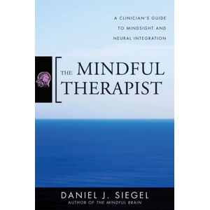 WW Norton & Co The Mindful Therapist : A Clinician'S Guide To Mindsight And Neural Integration WW Norton & Co The Mindful Therapist : A Clinician'S Guide To Mindsight And Neural Integration