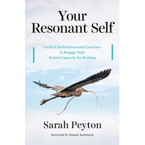 WW Norton & Co Your Resonant Self : Guided Meditations And Exercises To Engage Your Brain'S Capacity For Healing WW Norton & Co Your Resonant Self : Guided Meditations And Exercises To Engage Your Brain'S Capacity For Healing