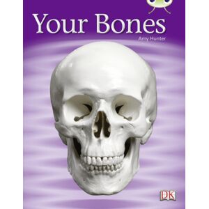 Pearson Education Limited Bug Club Non-Fiction Green C/1b Your Bones 6-Pack Pearson Education Limited Bug Club Non-Fiction Green C/1b Your Bones 6-Pack