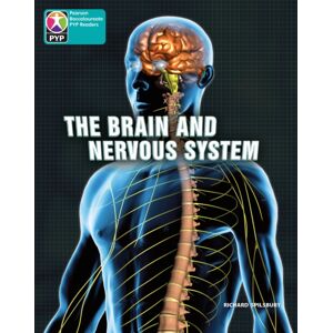 Pearson Education Limited Pyp L10 Brain And Nervous System 6pk Pearson Education Limited Pyp L10 Brain And Nervous System 6pk