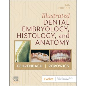 Elsevier Health Sciences Illustrated Dental Embryology, Histology, And Anatomy Elsevier Health Sciences Illustrated Dental Embryology, Histology, And Anatomy