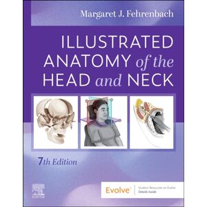 Elsevier Health Sciences Illustrated Anatomy Of The Head And Neck Elsevier Health Sciences Illustrated Anatomy Of The Head And Neck