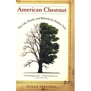 University of California Press American Chestnut : The Life, Death, And Rebirth Of A Perfect Tree University of California Press American Chestnut : The Life, Death, And Rebirth Of A Perfect Tree
