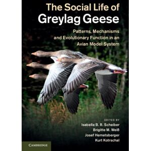 Cambridge University Press The Social Life Of Greylag Geese : Patterns, Mechanisms And Evolutionary Function In An Avian Model System Cambridge University Press The Social Life Of Greylag Geese : Patterns, Mechanisms And Evolutionary Function In An Avian Model System