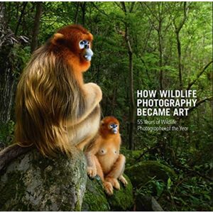 The Natural History Museum How Wildlife Photography Became Art : 55 Years Of Wildlife Photographer Of The Year The Natural History Museum How Wildlife Photography Became Art : 55 Years Of Wildlife Photographer Of The Year