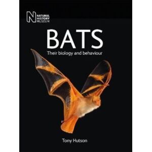 The Natural History Museum Bats : Their Biology And Behaviour The Natural History Museum Bats : Their Biology And Behaviour