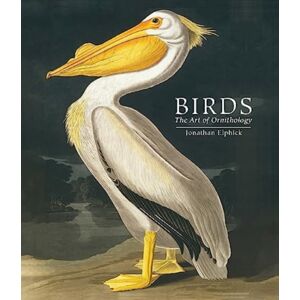 The Natural History Museum Birds : The Art Of Ornithology (Pocket Edition) The Natural History Museum Birds : The Art Of Ornithology (Pocket Edition)