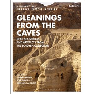Bloomsbury Publishing PLC Gleanings From The Caves : Dead Sea Scrolls And Artefacts From The Schoyen Collection Bloomsbury Publishing PLC Gleanings From The Caves : Dead Sea Scrolls And Artefacts From The Schoyen Collection