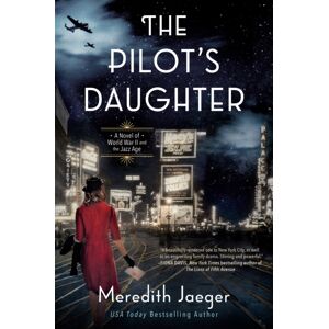Penguin Putnam Inc The Pilot'S Daughter : A Novel Penguin Putnam Inc The Pilot'S Daughter : A Novel