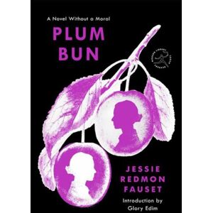 Random House USA Inc Plum Bun : A Novel Without A Moral Random House USA Inc Plum Bun : A Novel Without A Moral