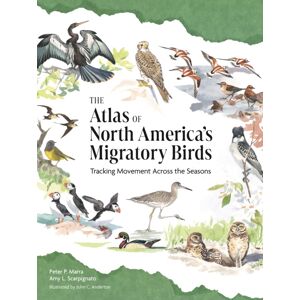 Princeton University Press The Atlas Of North America’s Migratory Birds : Tracking Movement Across The Seasons Princeton University Press The Atlas Of North America’s Migratory Birds : Tracking Movement Across The Seasons