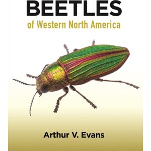 Princeton University Press Beetles Of Western North America Princeton University Press Beetles Of Western North America