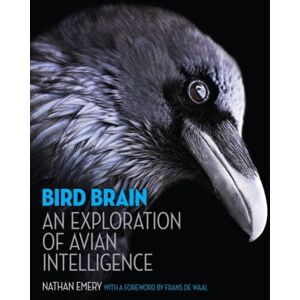 Princeton University Press Bird Brain : An Exploration Of Avian Intelligence Princeton University Press Bird Brain : An Exploration Of Avian Intelligence
